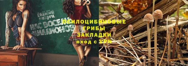 PSILOCYBIN Краснотурьинск