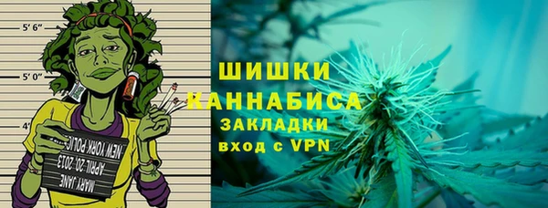 ГАЛЛЮЦИНОГЕННЫЕ ГРИБЫ Краснослободск