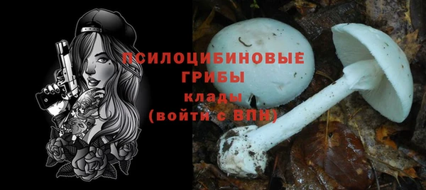 спиды Кукмор
