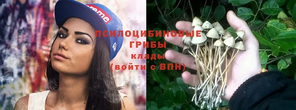 PSILOCYBIN Краснотурьинск