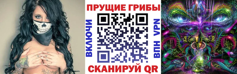 Галлюциногенные грибы Psilocybine cubensis  ОМГ ОМГ   darknet как зайти  как найти   Неман 